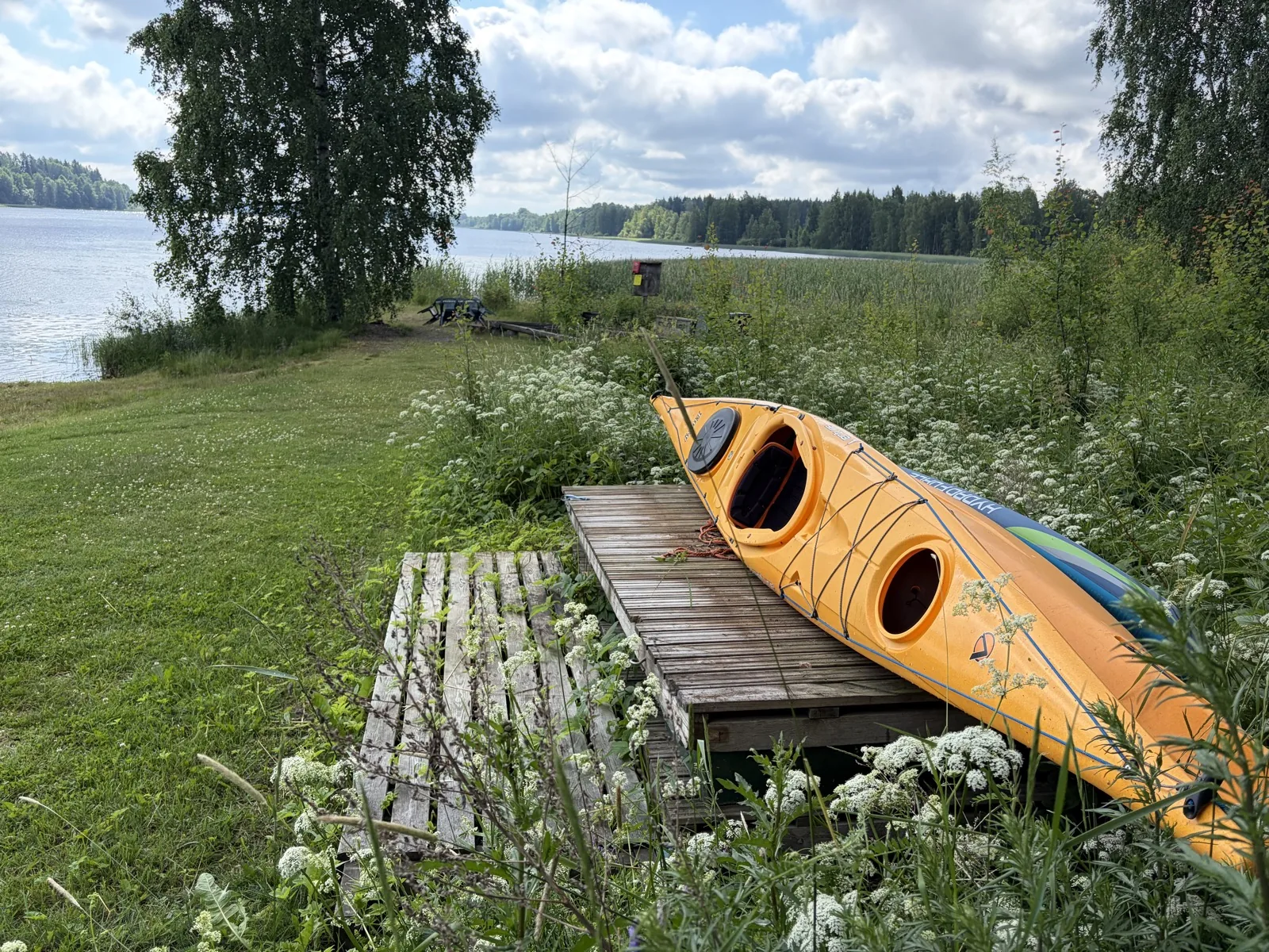 Kayak